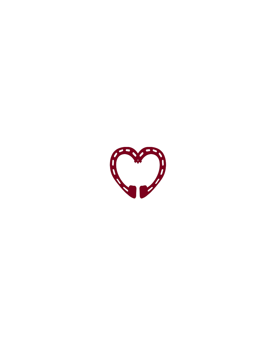 Adamo Equestrian logo