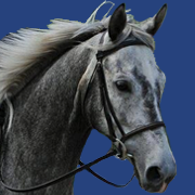 Harmony Horse Stables LLC logo