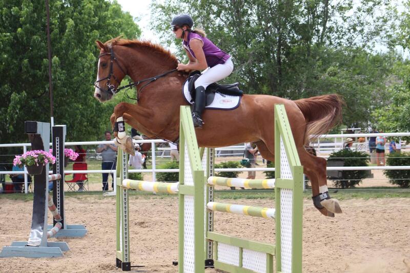 Summit Equestrian logo