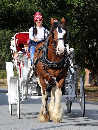 J AND A STABLES, INC. logo