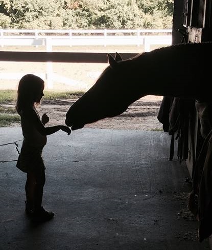 Nottingham Equestrian Center logo