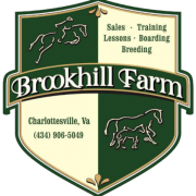 Brookhill Farm | Horse Riding Lesson & Training logo
