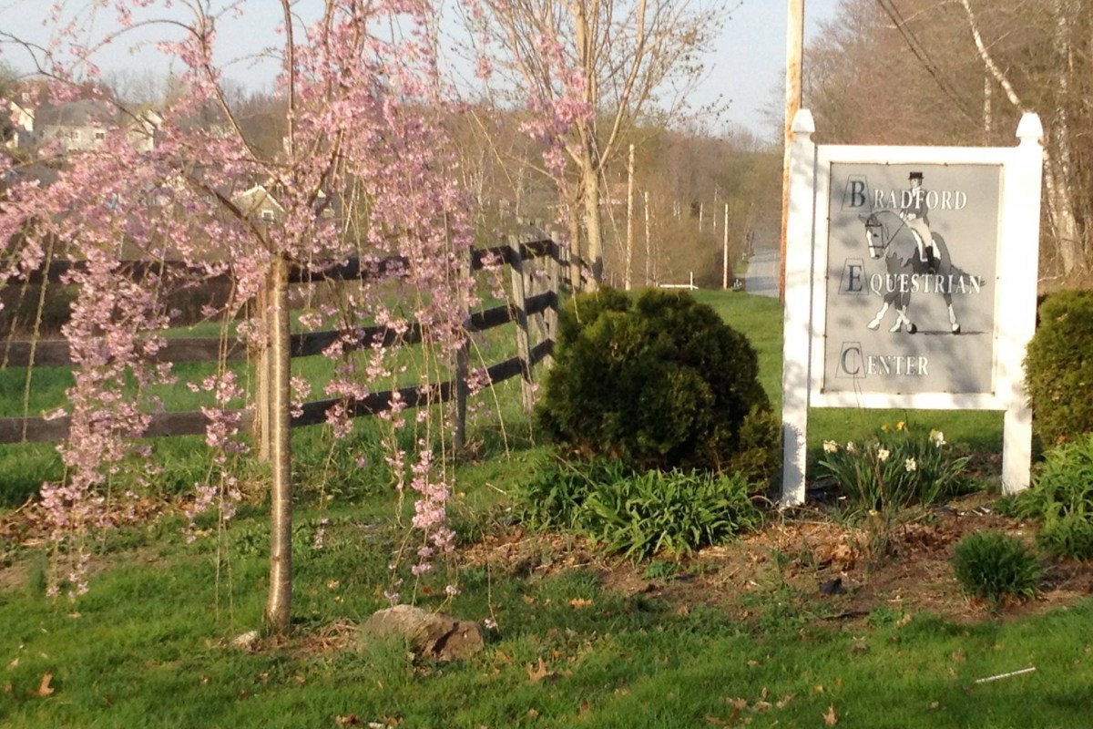 Bradford Equestrian Center logo