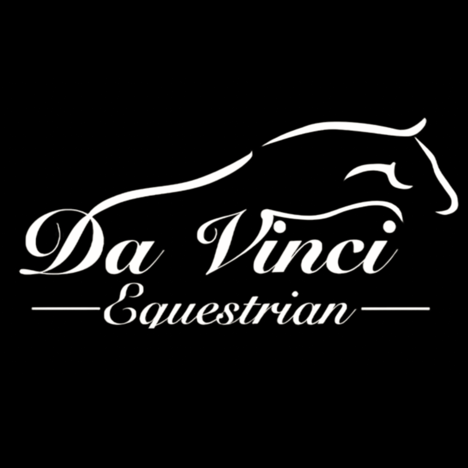 Da Vinci Equestrian logo
