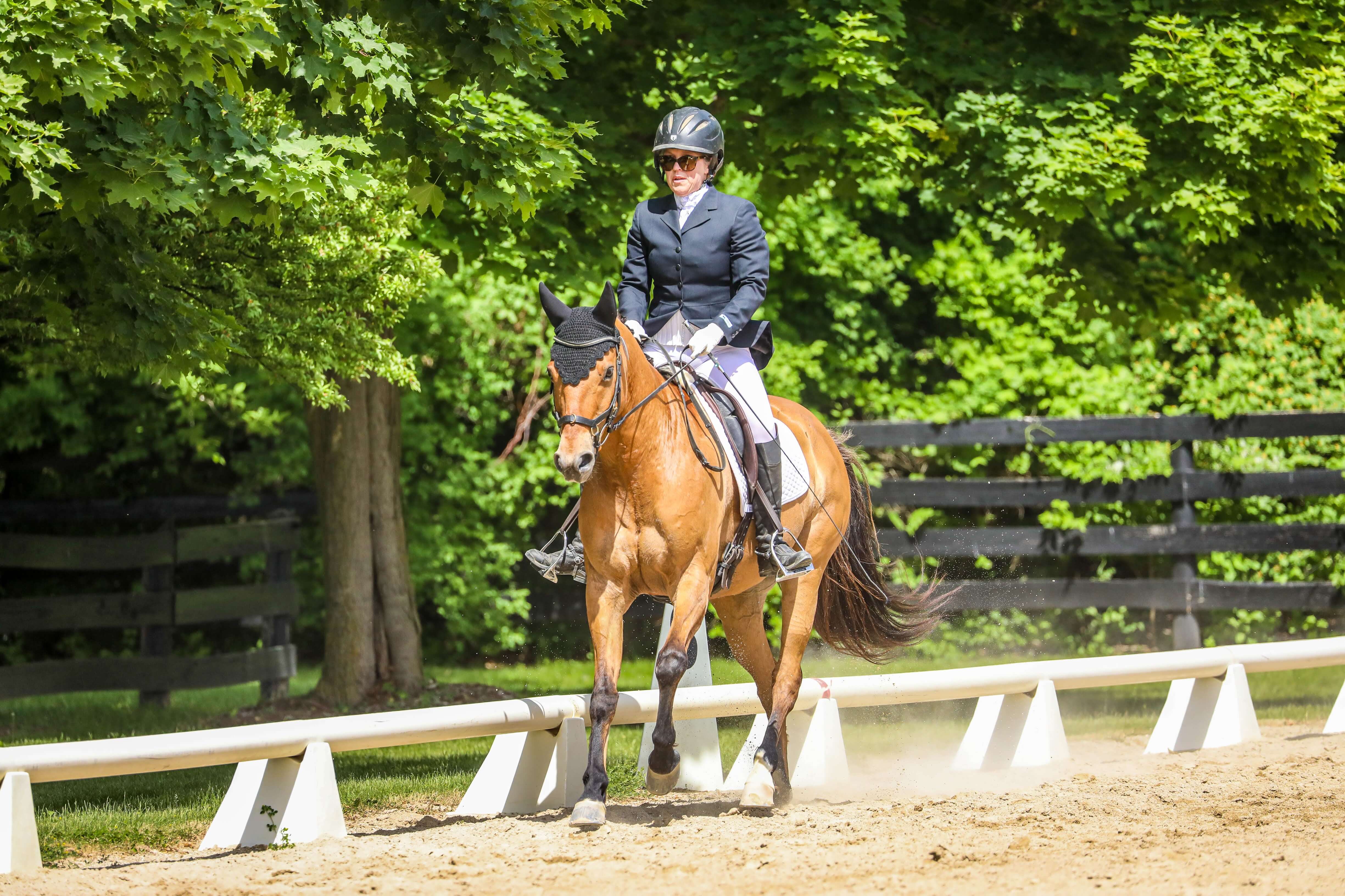 Sommer North Equestrian Center, LLC logo