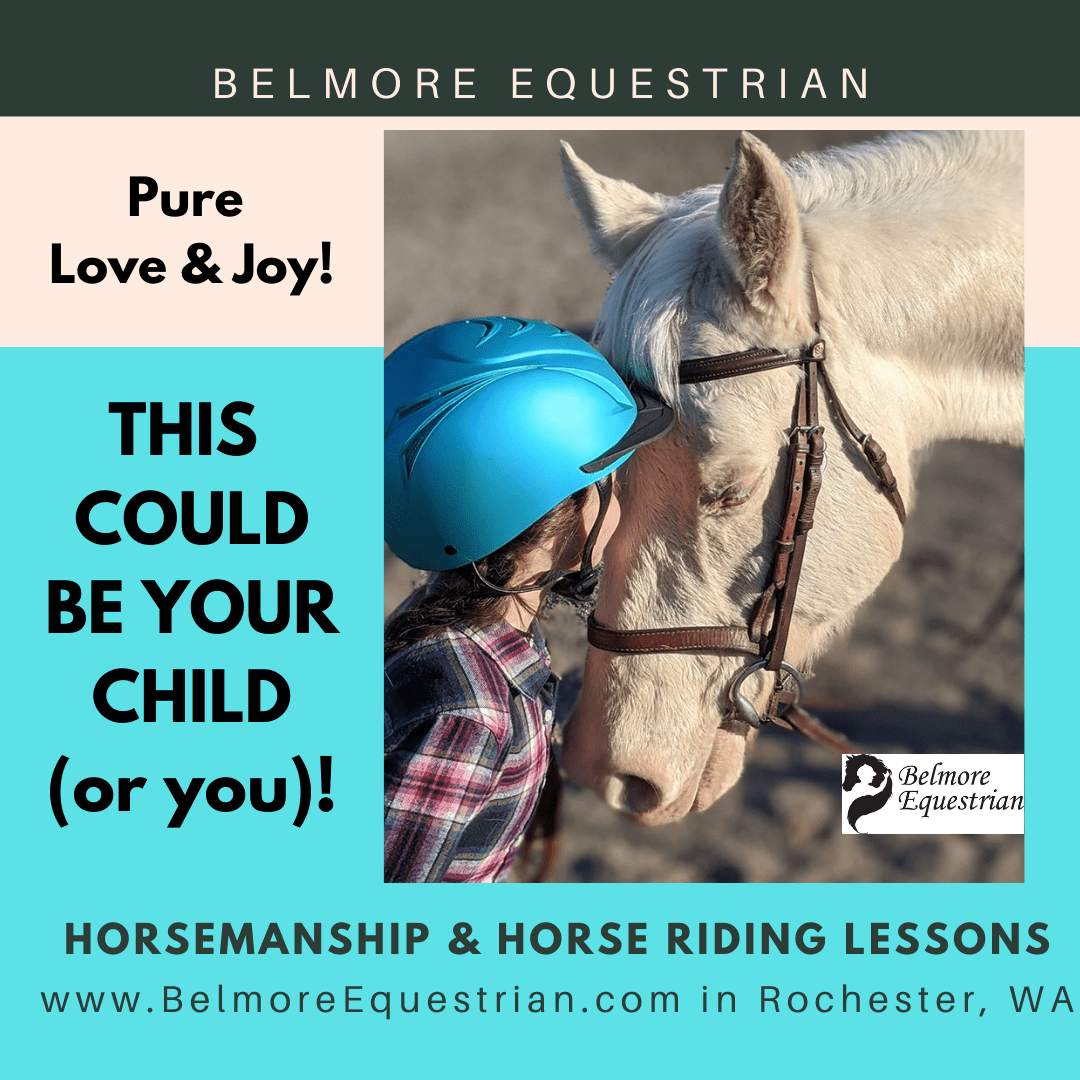 Belmore Equestrian logo