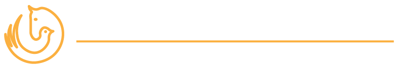 Morning Dove Therapeutic Riding Center logo