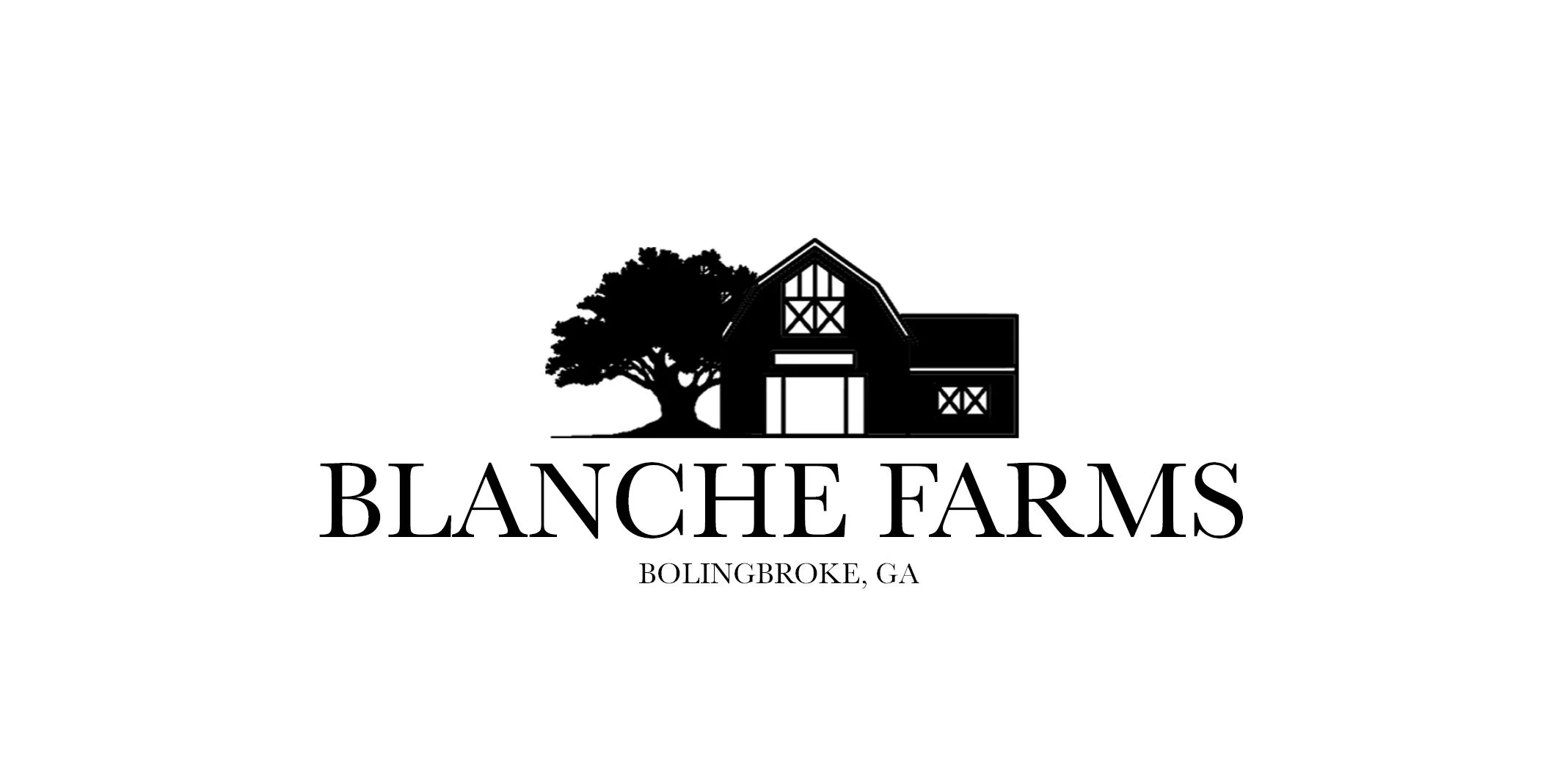Riding Lessons At Blanche Farms logo