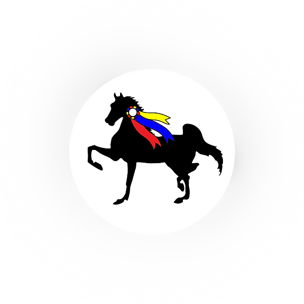 Burin Stables logo