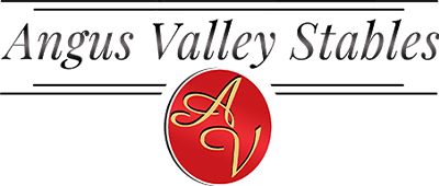 Angus Valley Stables logo