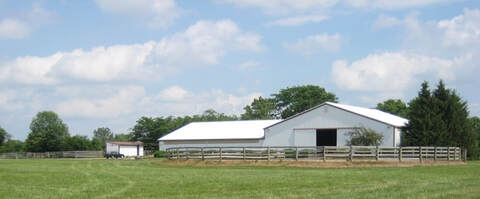 Dare Equestrian Center logo