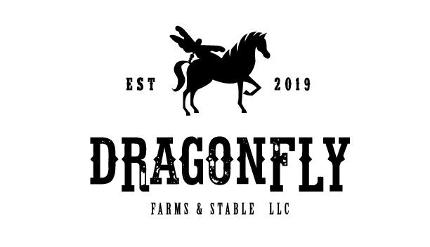 Dragonfly Farms & Stable LLC logo