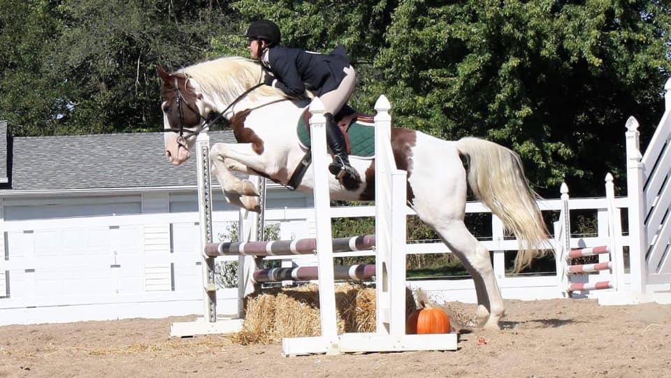 Happy Hiccups Equestrian LLC logo