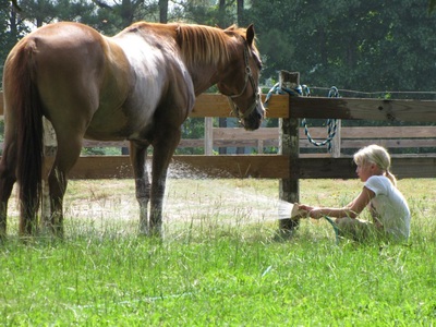Cleveland Riding School in Benson NC logo