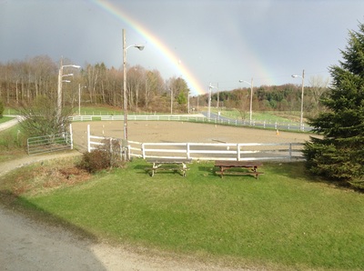Silver Birch Equestrian Center logo