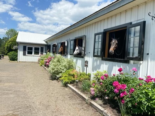 Someday Stables logo