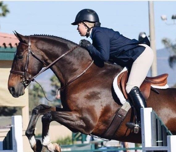 Hunter Valley Riding Academy logo