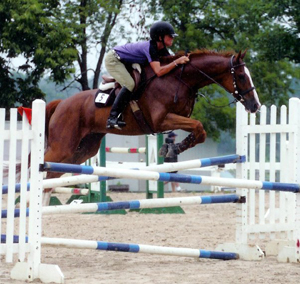 Apple Creek Stables logo