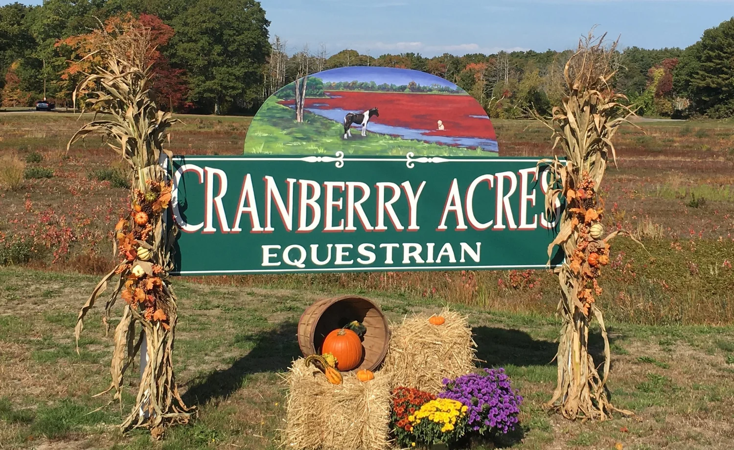 Cranberry Acres Equestrian logo