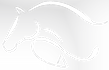 Jump 4it Equestrian logo
