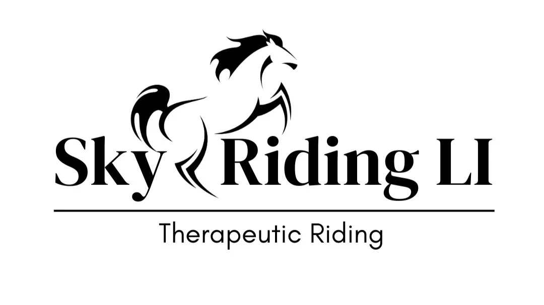 SKY RIDING LI logo