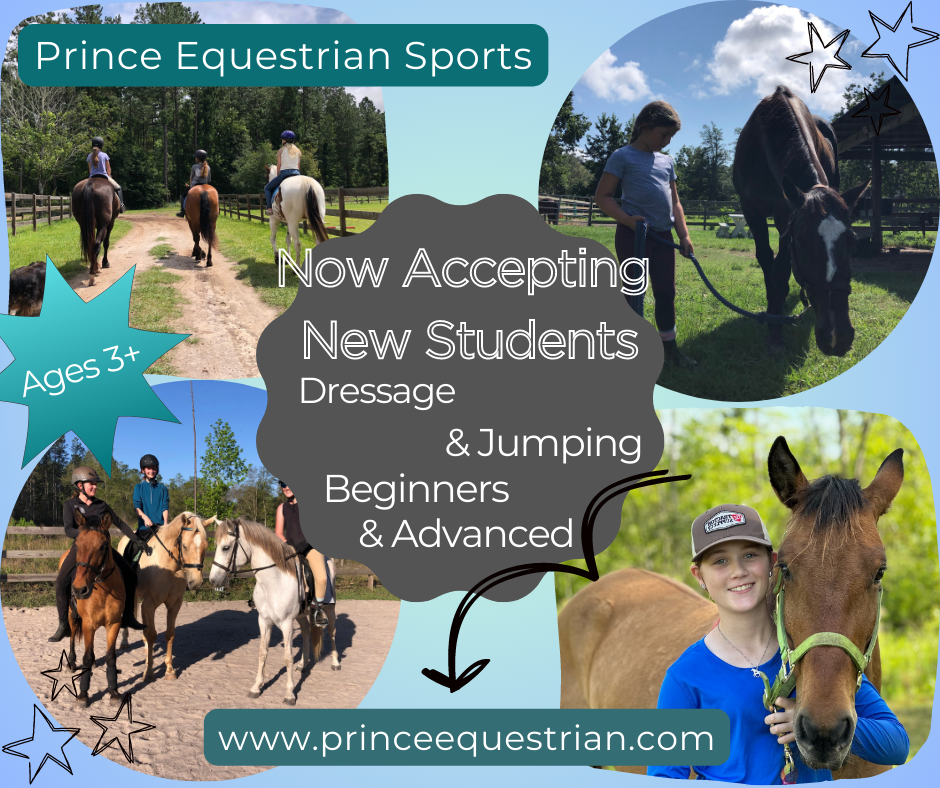 Prince Equestrian Sports logo
