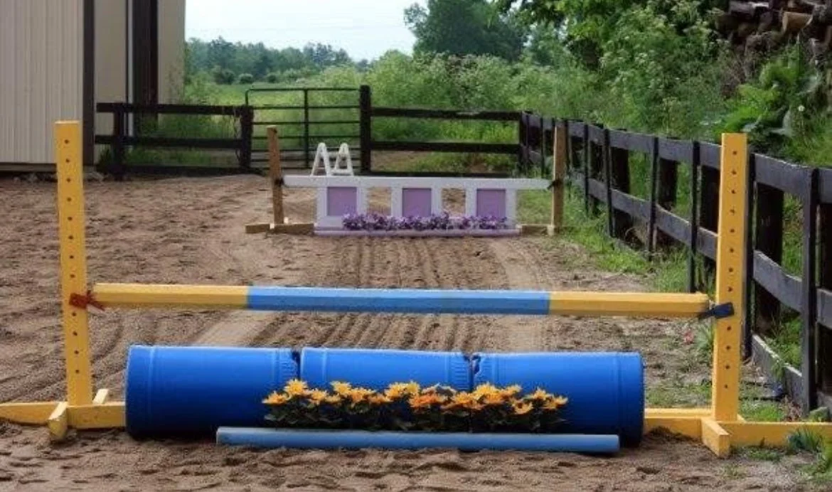 Paddle Stone Equestrian Center logo