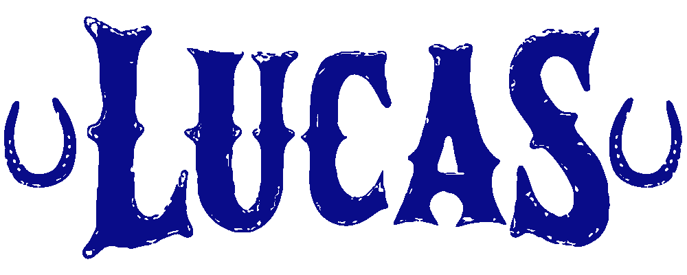 Lucas Riding Academy, LLC logo