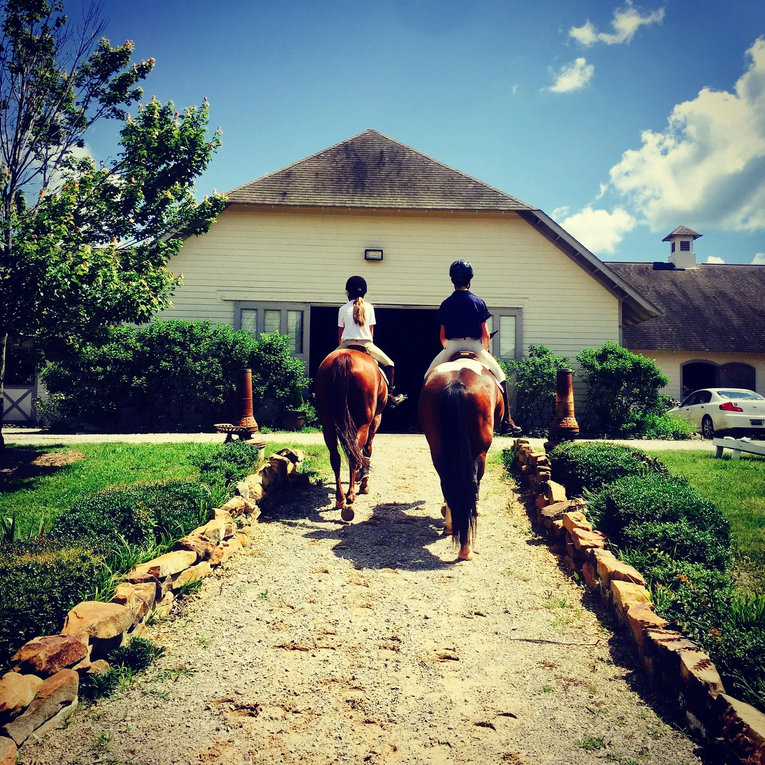 Clairmont Show Stables logo