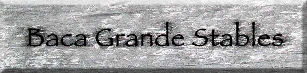 Baca Grande Stables logo