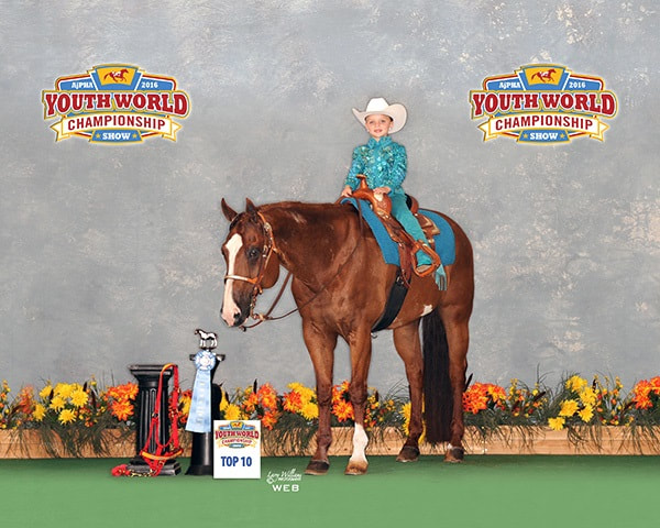 Double Diamond Equestrian Center logo