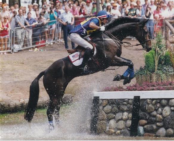 Gold Chip Stables logo