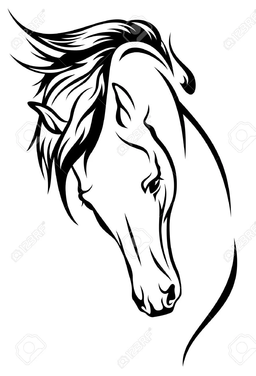 Fine Equine Stables, Inc logo