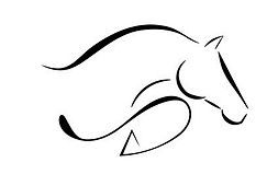 The Riding School, LLC logo