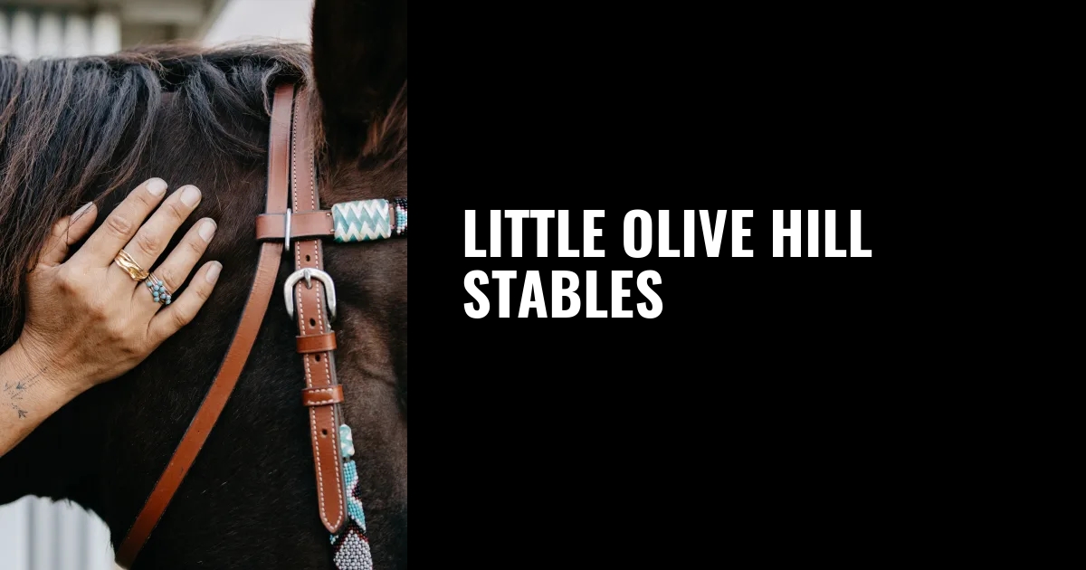 Little Olive Hill Stables logo