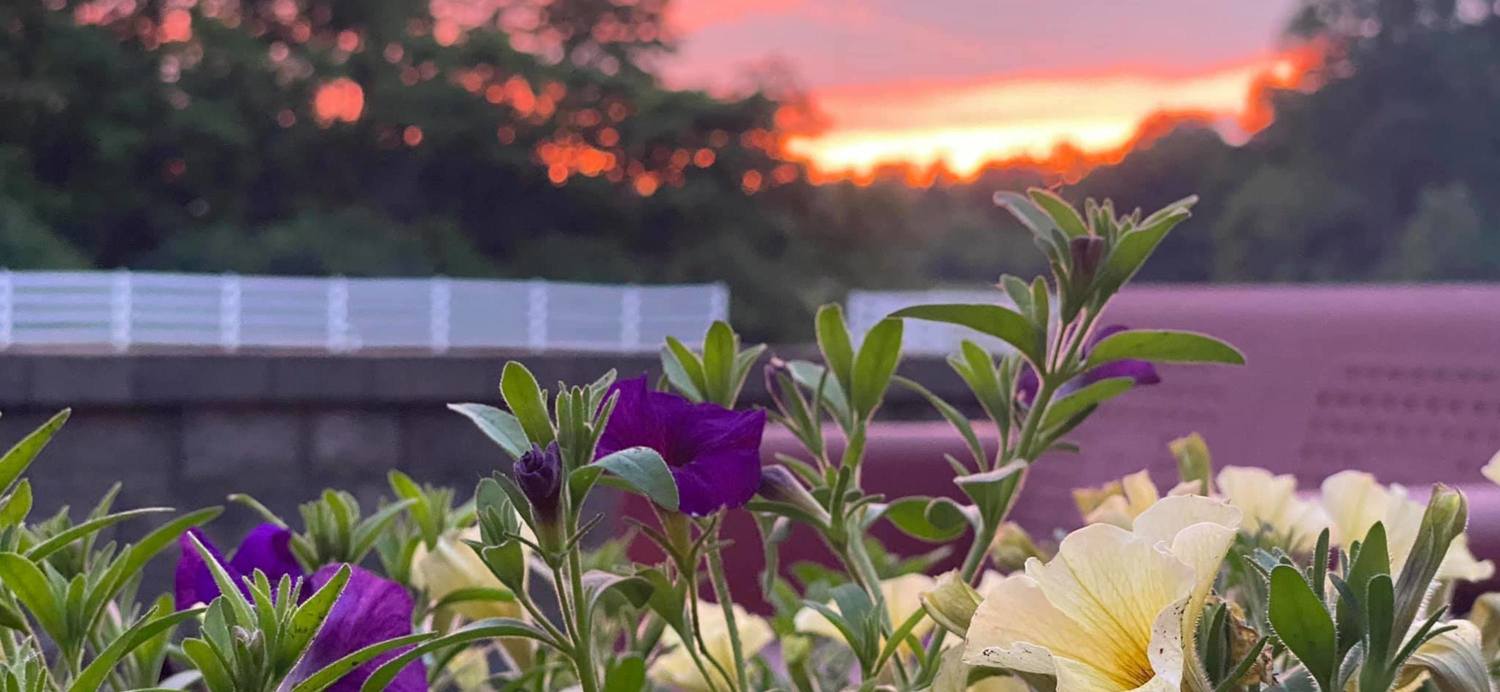 Hill Top Equestrian Center logo