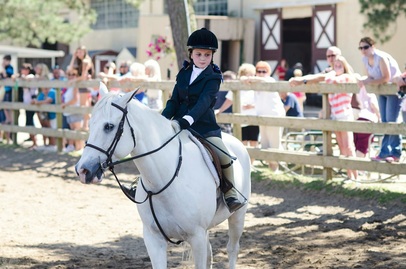 Parkview Riding Center Inc logo