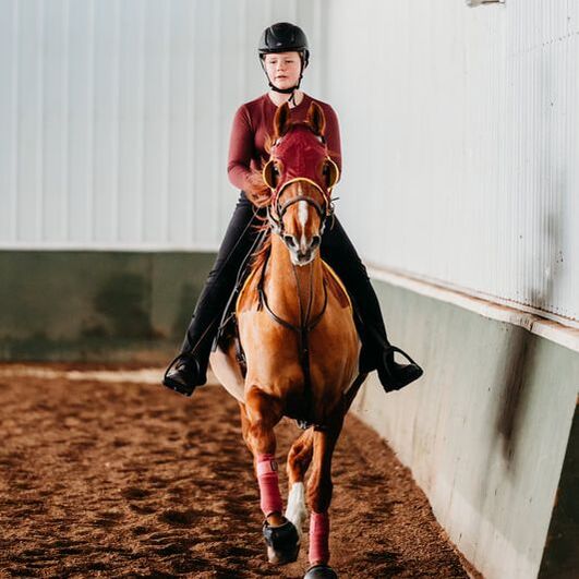 Caitlin Carmody Stables logo