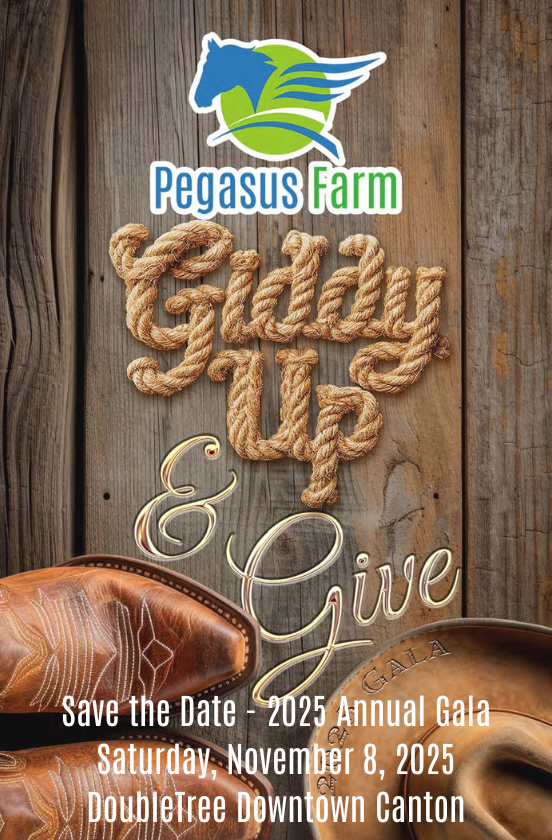 Pegasus Farm Equestrian Center logo