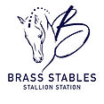 Brass Stables logo
