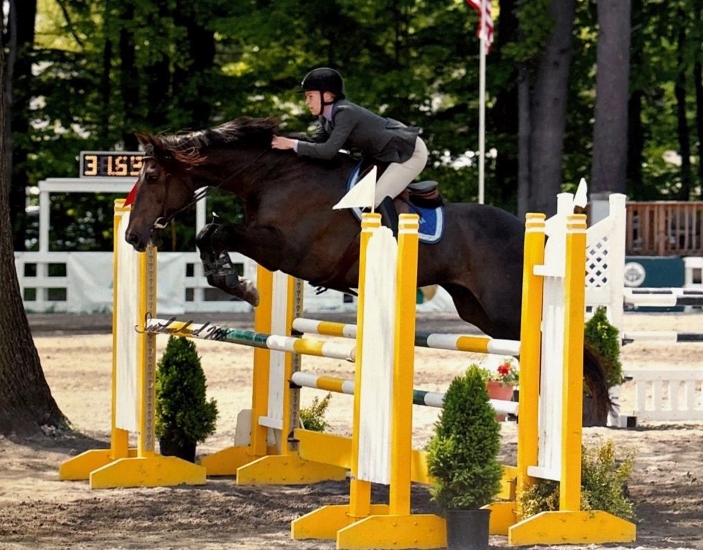 Picture Perfect Equestrian logo