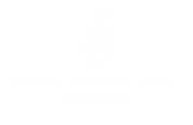 Something Wild Riding School, LLC logo