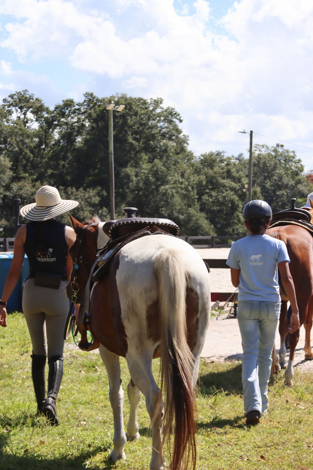 WildHeart Riding School logo