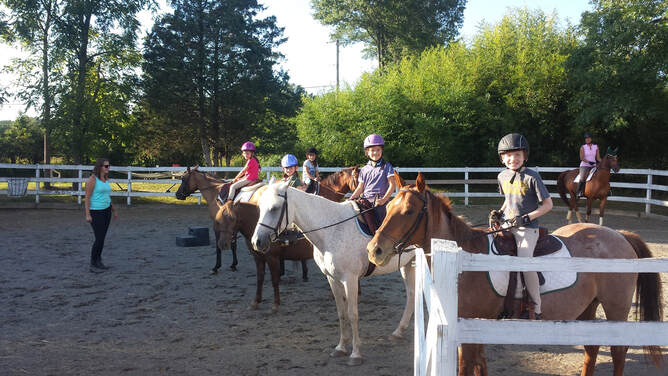 Sauer's Riding School logo