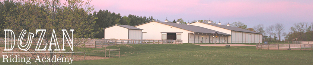 Duzan Riding Academy logo