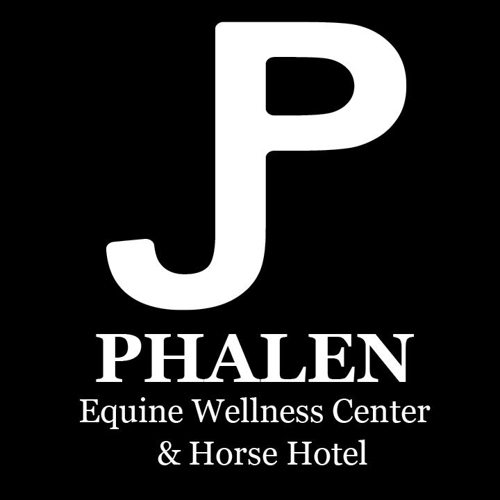 Phalen Equestrian Center, Inc. logo