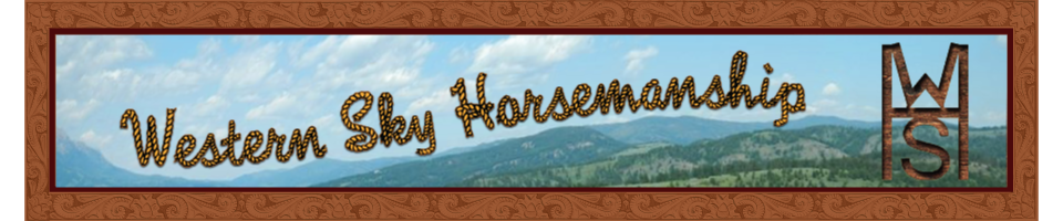 Western Sky Equestrian Center, LLC logo