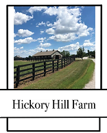 HICKORY HILL EQUESTRIAN CENTER logo